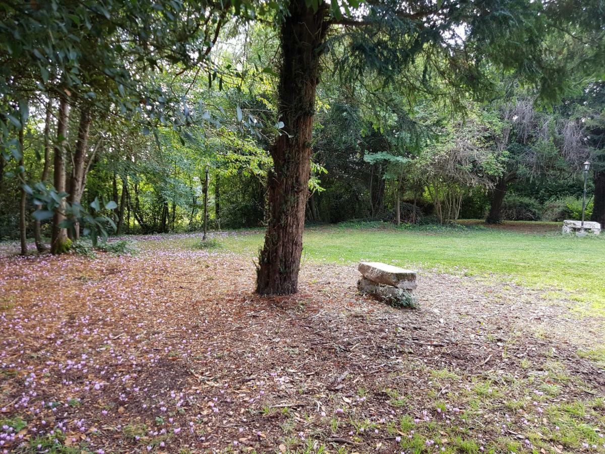 Accommodatie bij particulieren Chateau De Champblanc Cherves-de-Cognac