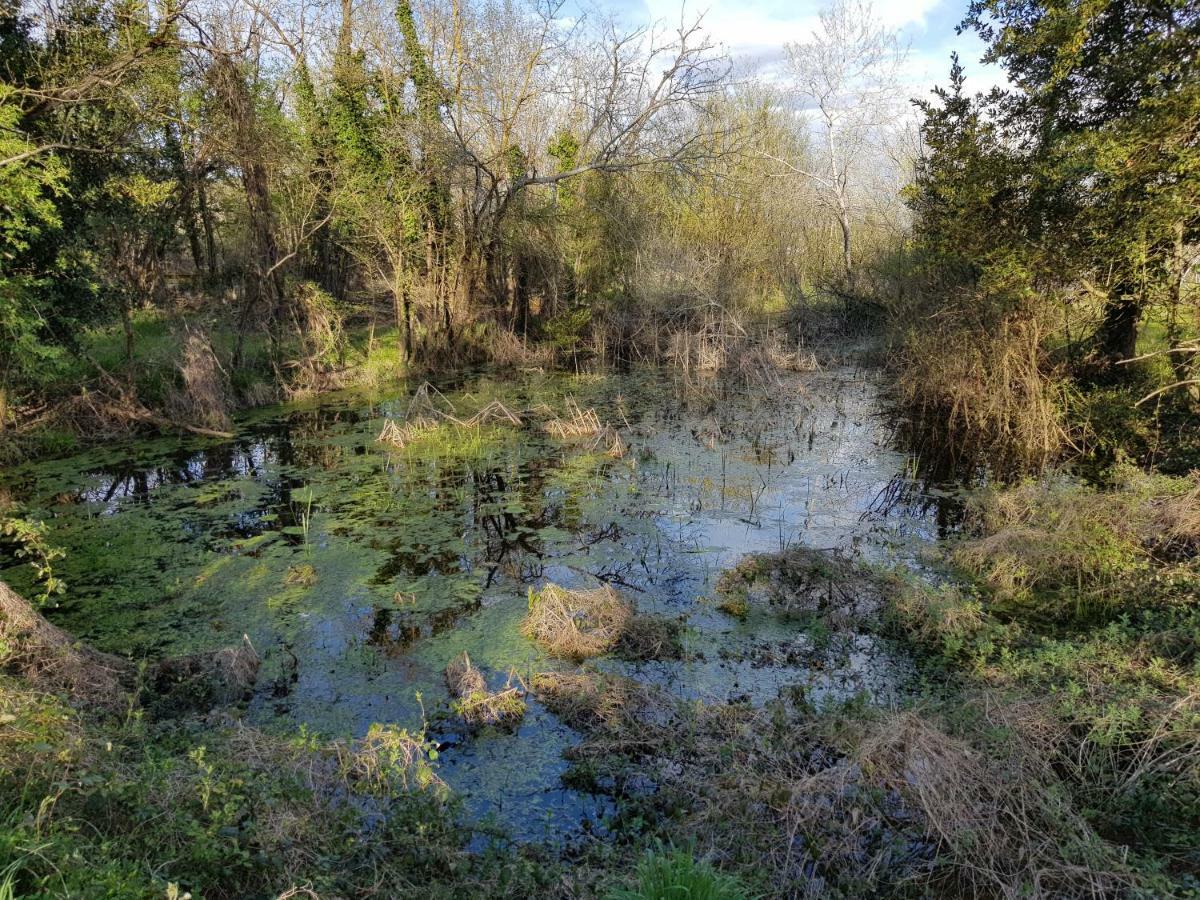 Séjour chez l'habitant Château De Champblanc *