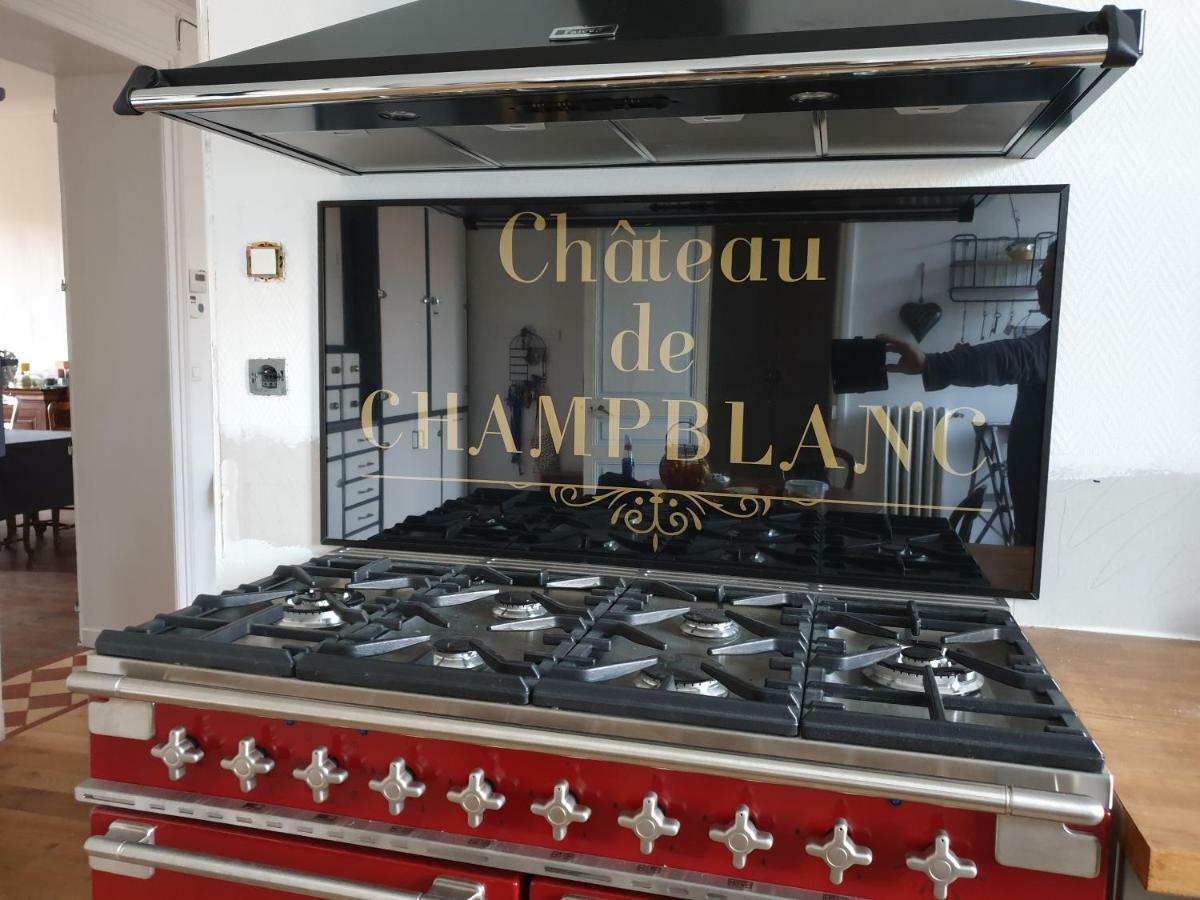 Privatunterkunft Chateau De Champblanc Cherves-de-Cognac